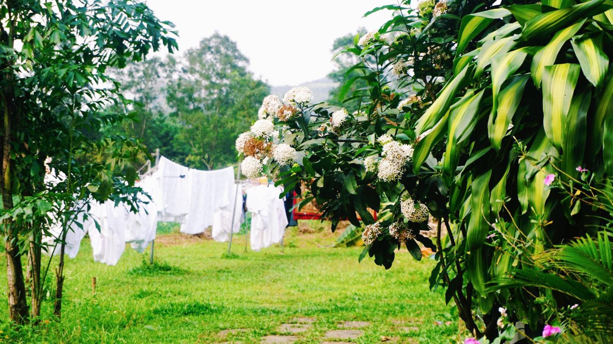 Phong Nha Eco Village المظهر الخارجي الصورة