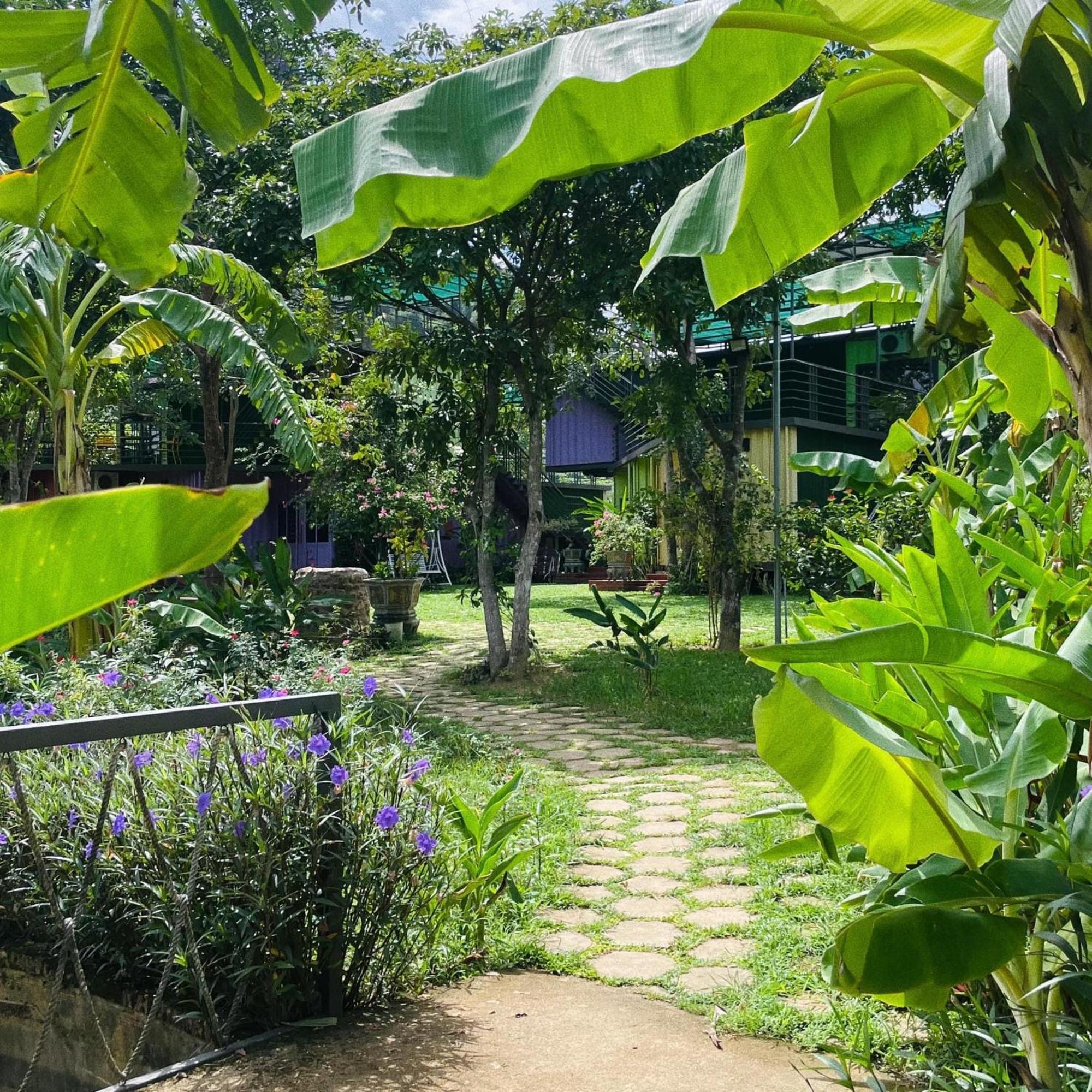 Phong Nha Eco Village المظهر الخارجي الصورة