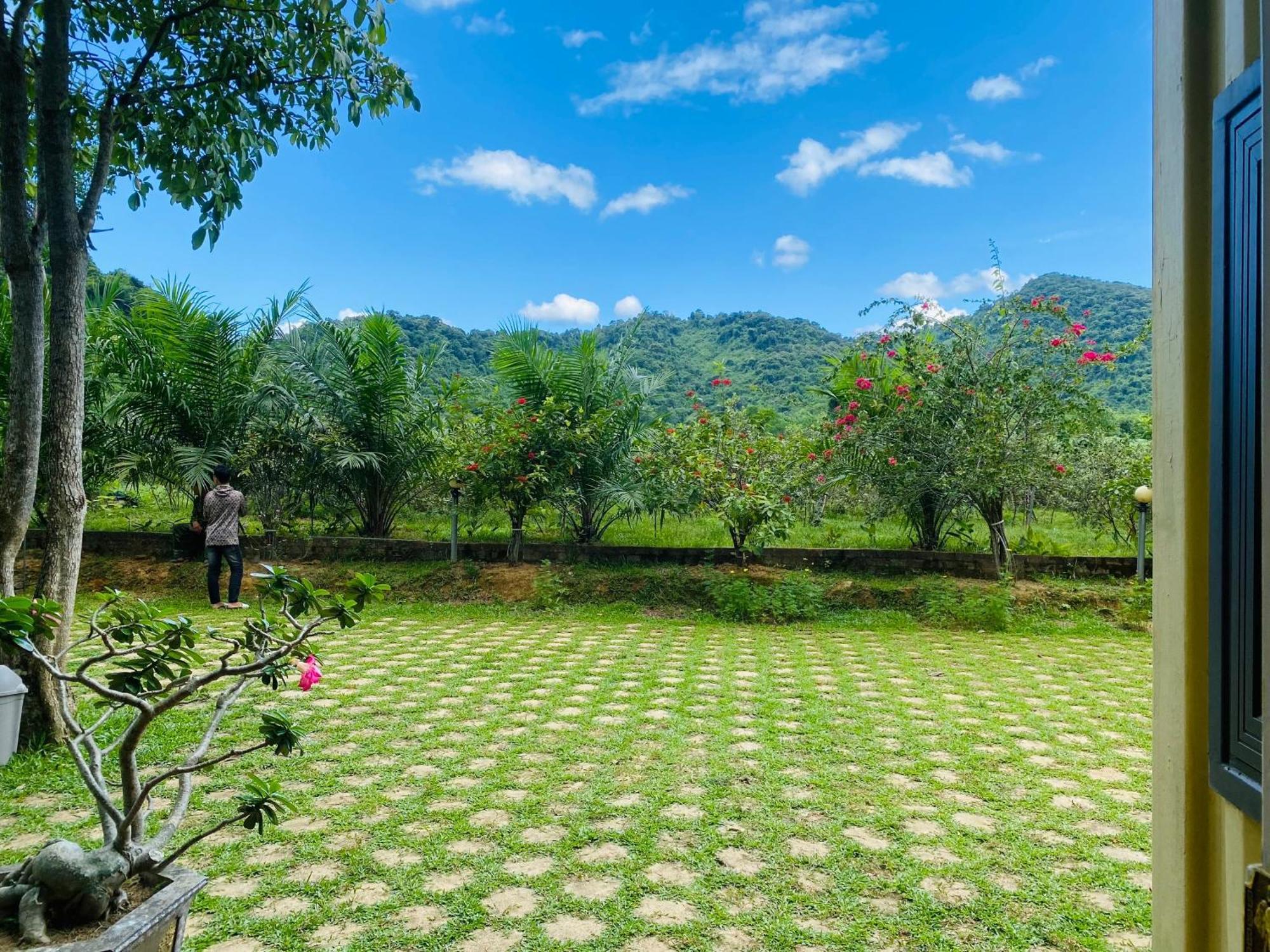 Phong Nha Eco Village المظهر الخارجي الصورة