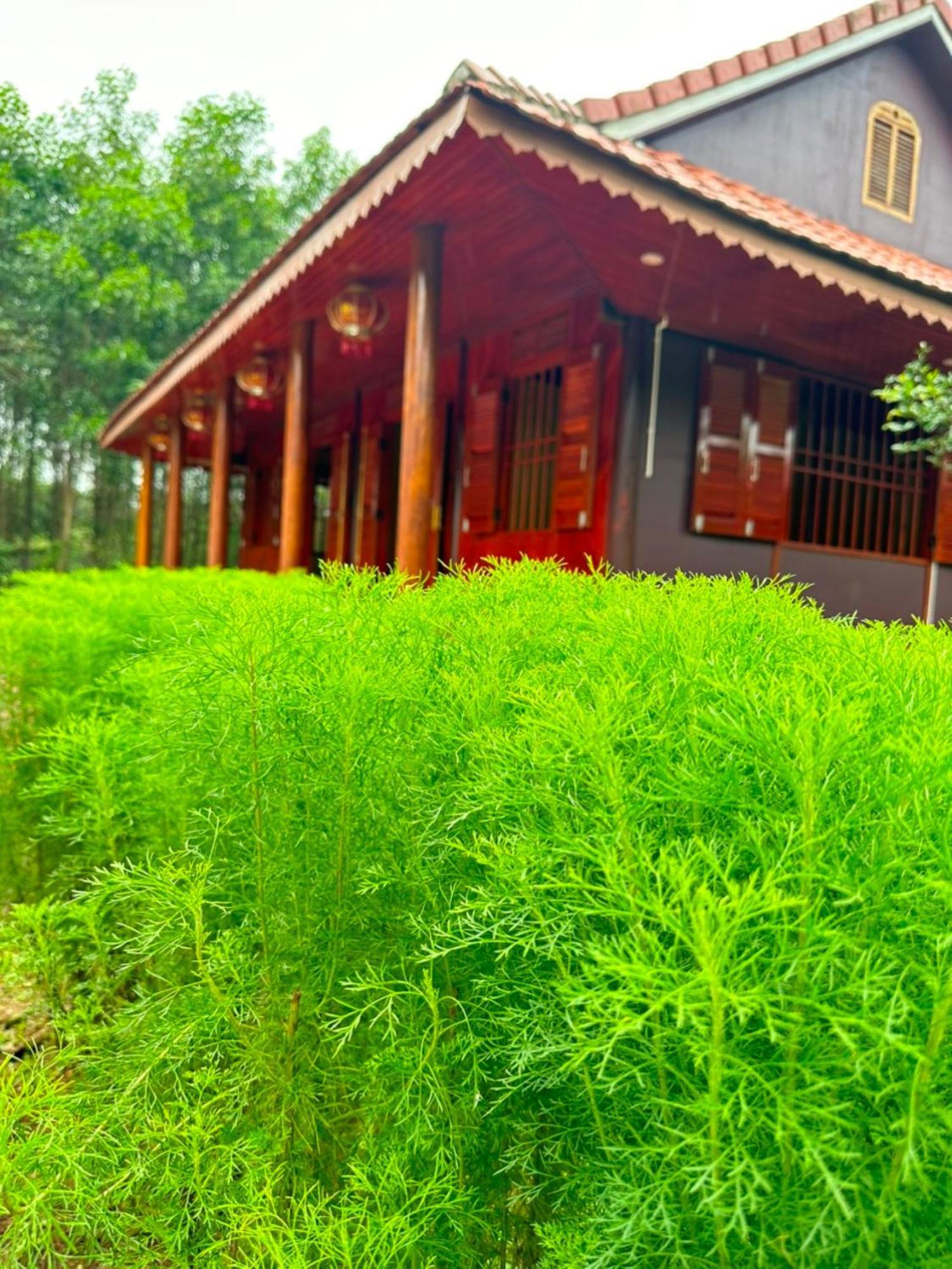 Phong Nha Eco Village المظهر الخارجي الصورة