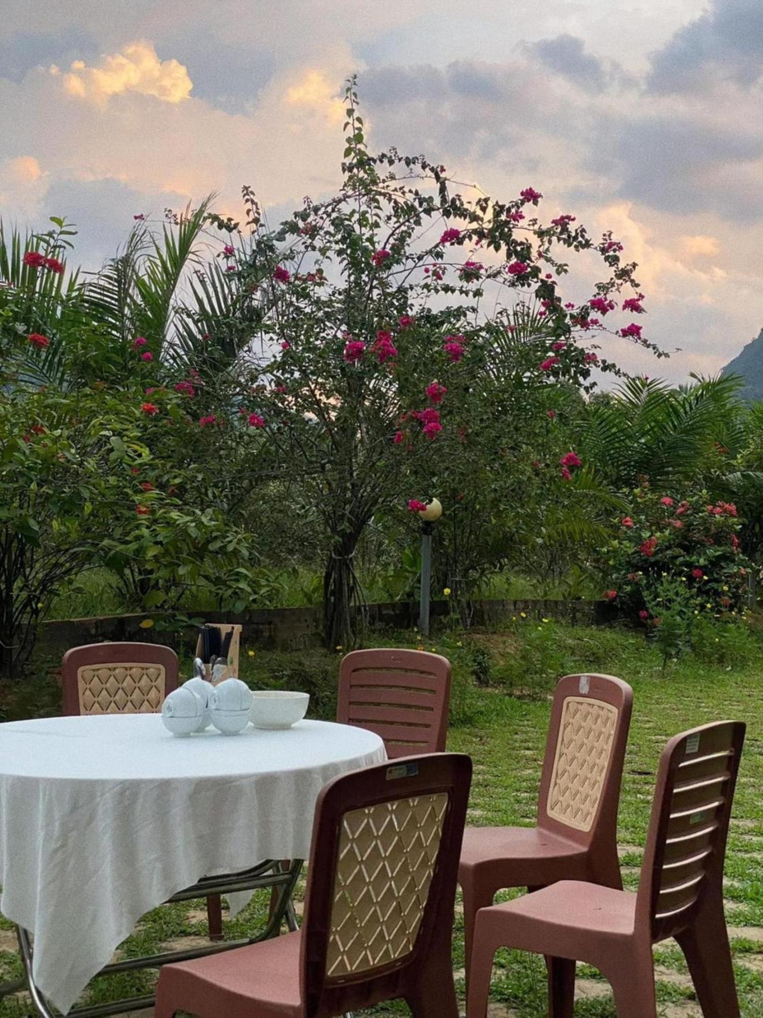 Phong Nha Eco Village المظهر الخارجي الصورة