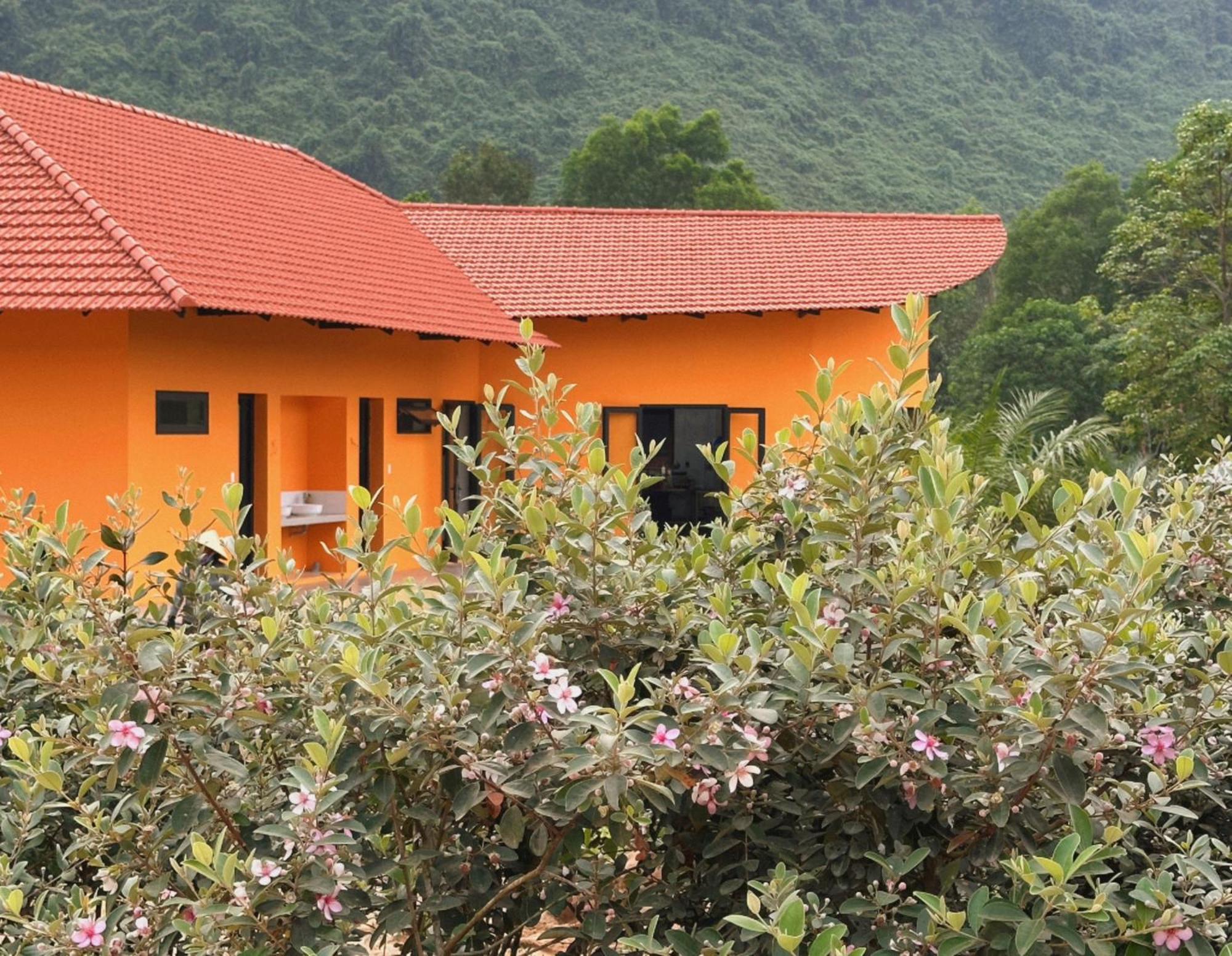 Phong Nha Eco Village المظهر الخارجي الصورة