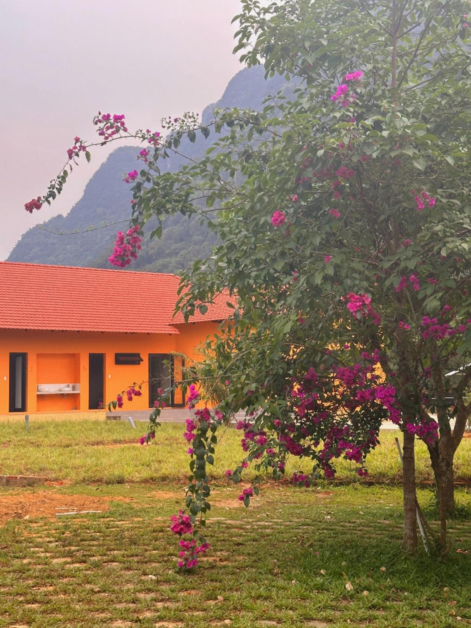 Phong Nha Eco Village المظهر الخارجي الصورة