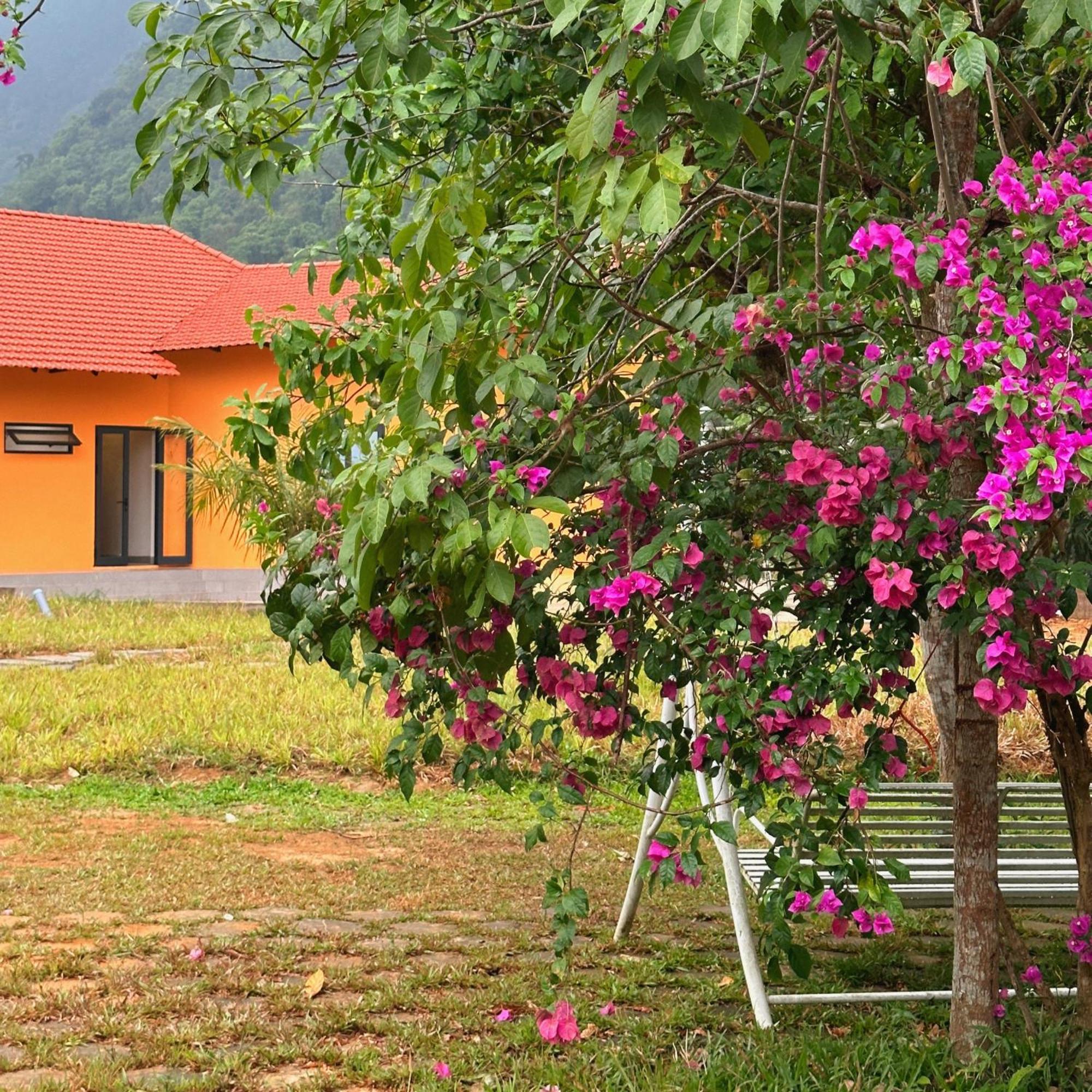 Phong Nha Eco Village المظهر الخارجي الصورة